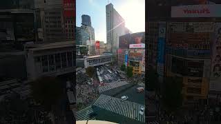 Cruising Through The Chaos Of Shibuya Crossing Where Dreams Meet Reality 