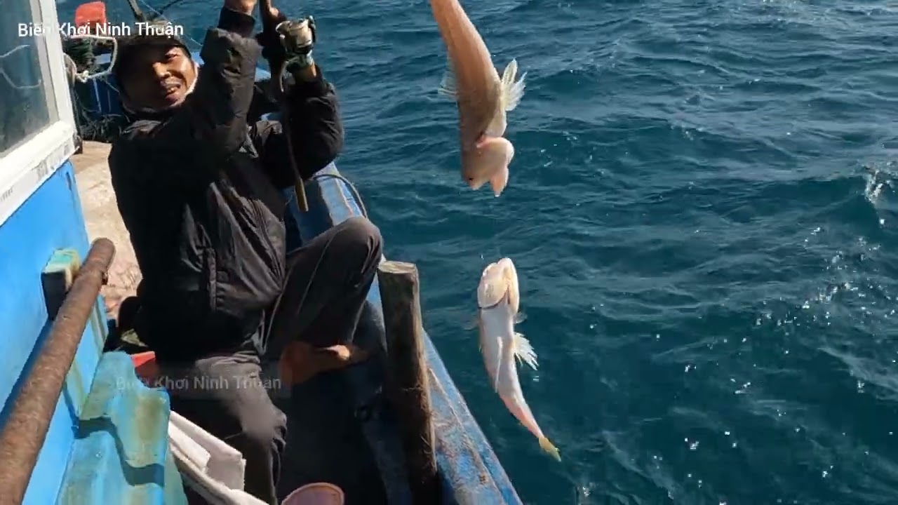 Câu Cá Biển - Được Ngày Trời Êm  Đầu Năm 2024 Anh Em Tranh Thủ