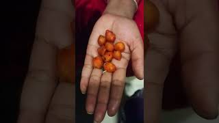 जन्म के आधार पर जाने आपके लक्षण कैसे होंगे #vastuu #astrology #facts #money #vastuastrology #shorts