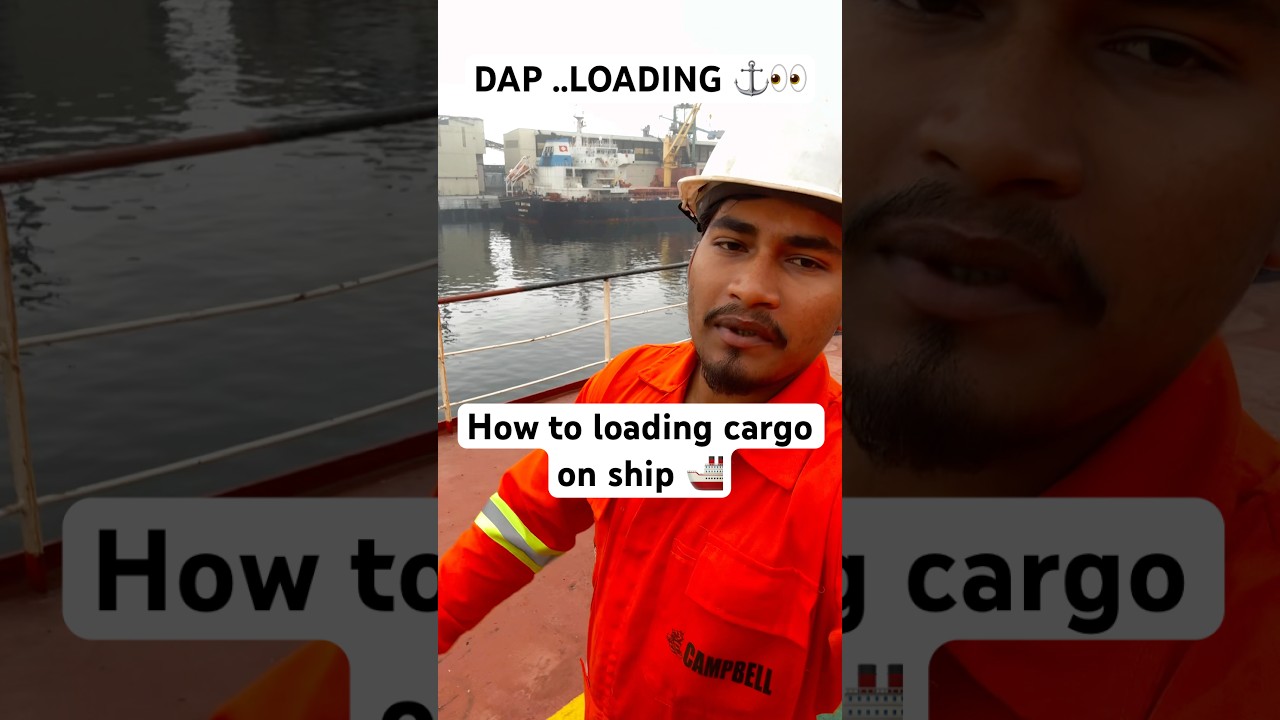 Corgo Loading on ship 🚢 