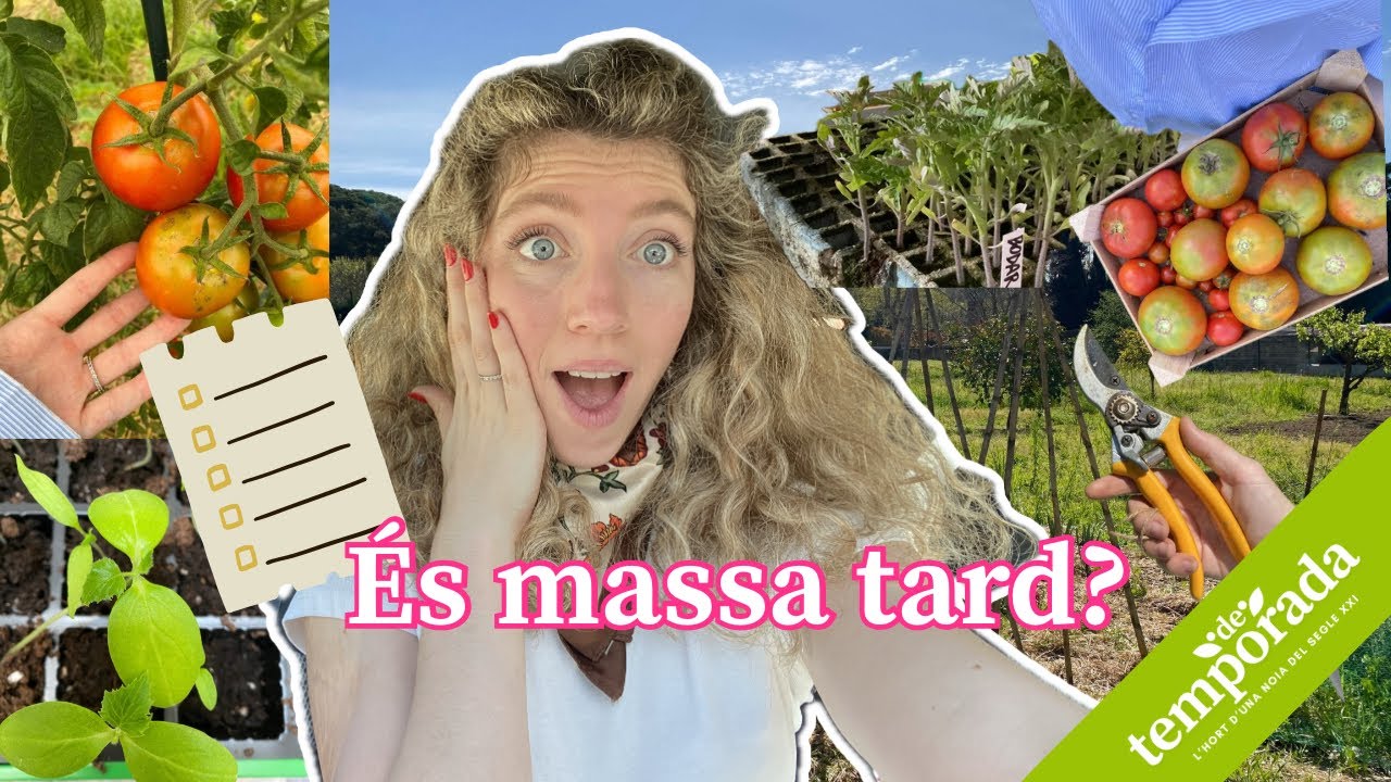 Imprescindibles per l’hort d’ESTIU☀️🍅💦