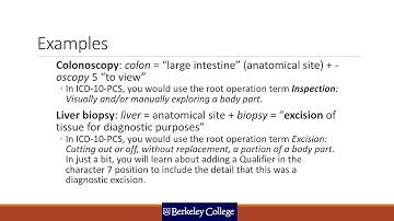 ICD 10 PCS Root Operations