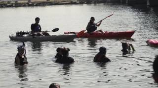 Monitoring Marine Biodiversity in Coastal San Diego