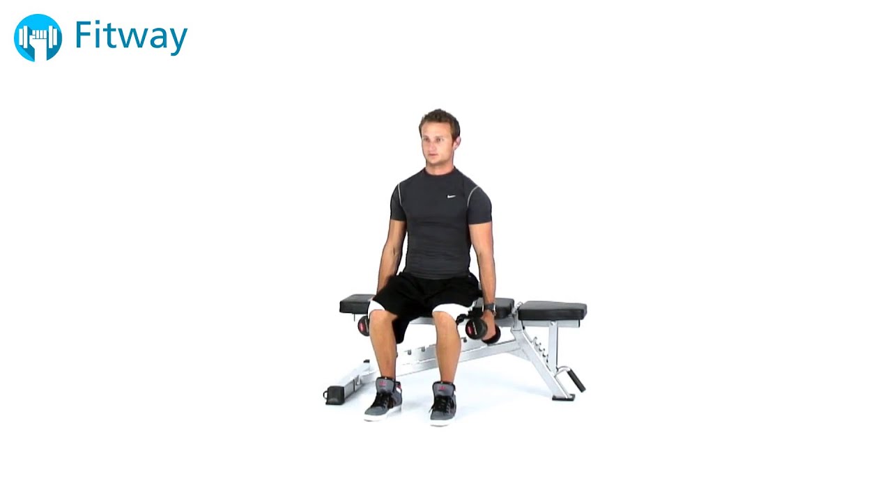 How To Do: Dumbbell Shrug - Seated | Shoulder Workout Exercise video phone beyonce mp3