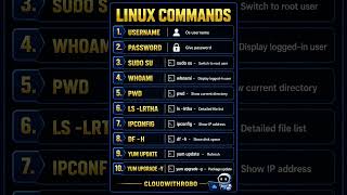 Top 10 Linux Commands Every Beginner Must Know 🚀 | DevOps & Cloud Basics @CloudWITHRobo-n1l