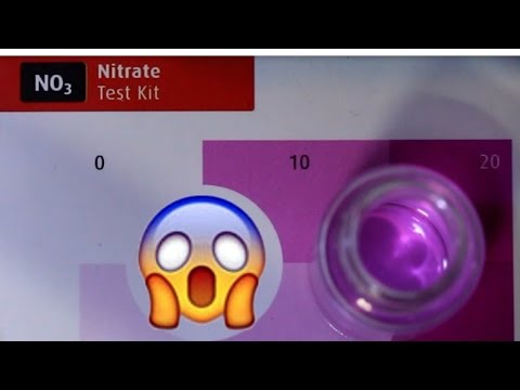 Vídeo: Como Reduzir Nitratos Em Seu Aquário
