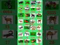 Finally All Secret CodeIn Indian Bike Driving 3D #trending #automobile #viral #gaming