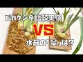 ビカクシダは水苔の「量」で成長に差が出るのか？