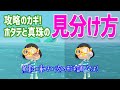 【あつ森】しんじゅ(真珠)とホタテの見分け方を調べたよ!海の幸・攻略のコツ【あつまれどうぶつの森】