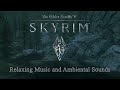 Night River Sounds 🌙 Flowing Water Ambience for Sleep (No Music)