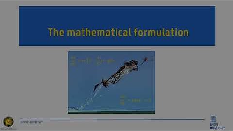 Ecological and Environmental modeling: model formulation