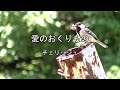 2026-6-17 愛のおくりもの/チェリッシュ
