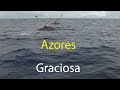 Azores - Graciosa Trip 6