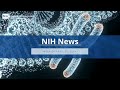 NIH News – Week of April 22, 2024