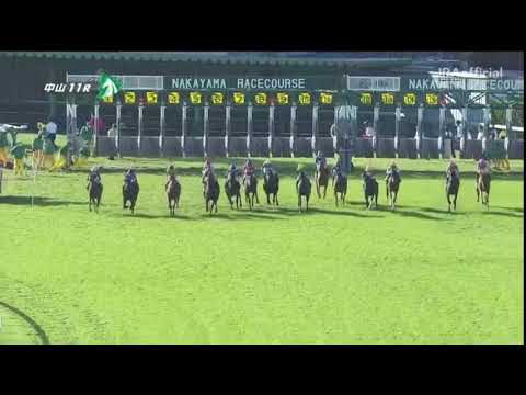 アネモネステークス 2021 パトロールビデオ 【アナザーリリック】