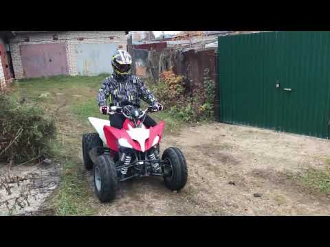 Motoland Atv 250 Купить