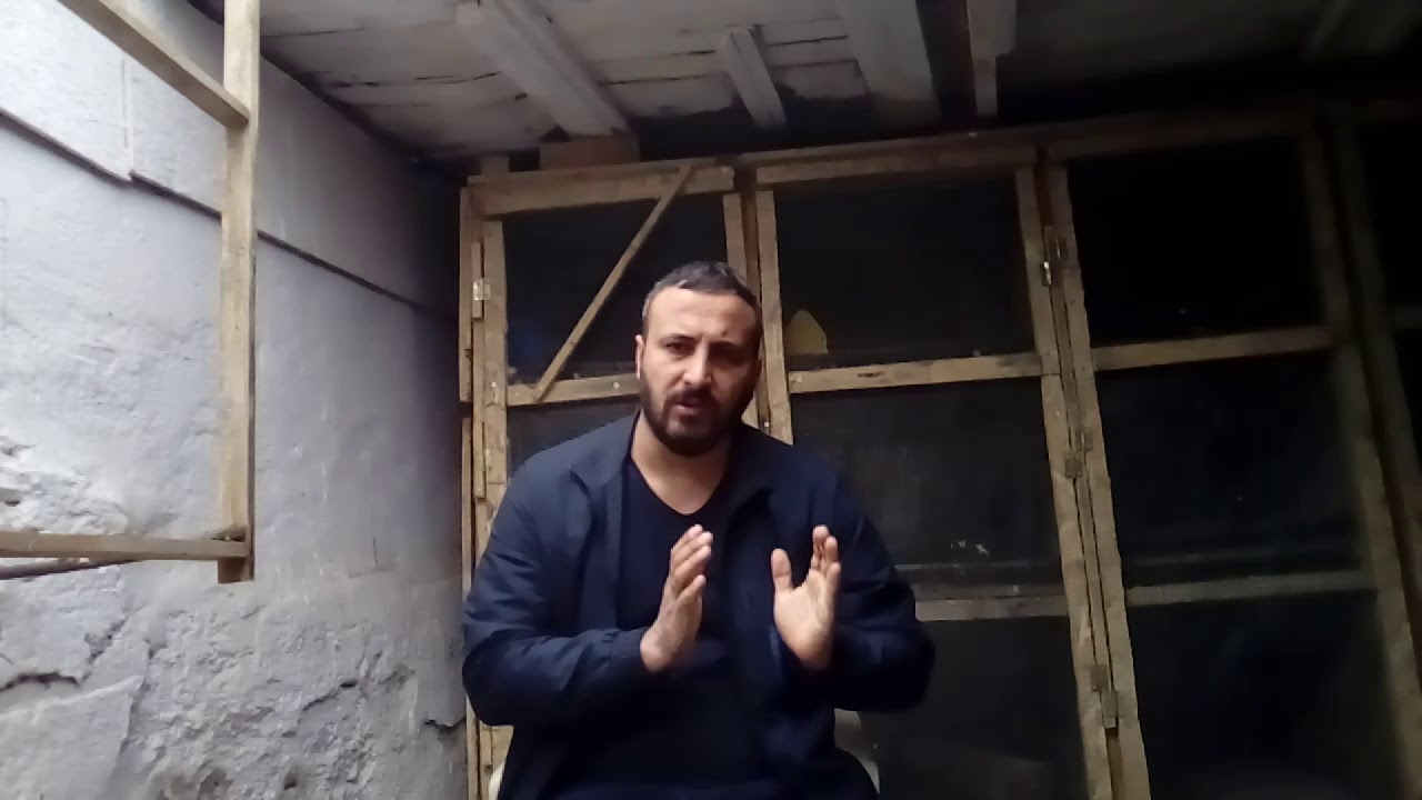 Güvercinlerde ayak felci yürüyememehali..? ( veteriner teknikeri)