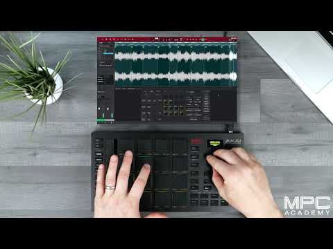 How To Slice and Sample Sounds With MPC Studio