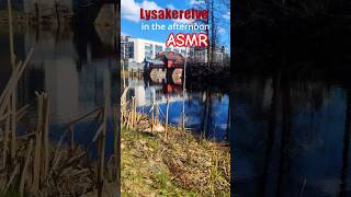 🌿Lysakerelven ASMR 🏛️Oslo 🇳🇴 #urbanexploration #oslo  #norway #shorts #nature #nature4k