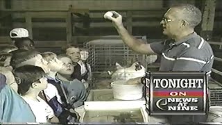 1995 FOX 44 WEVV News At Nine Bumper Commercial - Evansville IN