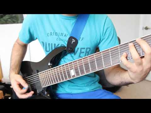 A Steady Decline - After The Burial GUITAR COVER