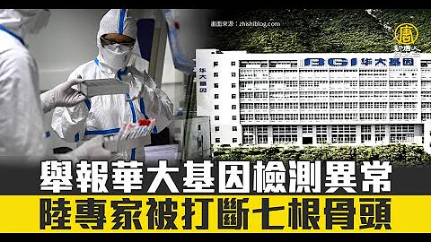 举报华大基因检测异常 陆专家被打断七根骨头｜中国一分钟 - 天天要闻