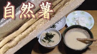 自然薯もらったので食べてみた。うまいぞ。　山芋自然薯の食べ方。　とろろ汁　団子汁　男の料理。レシピ。　Jinenjo