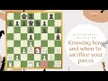 A BRILLIANT attack to undermine white's position | Grandmaster Chess Tactics [#2]