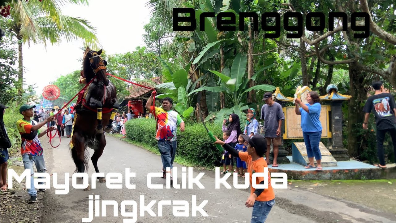 Arak-arakan kuda jingkrak Brenggong Purworejo terbaru 2023, banyak bendi atau delman nya