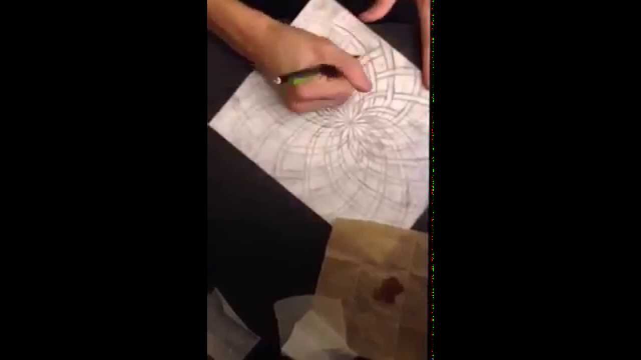 Timelapse Drawing of a Fillacello