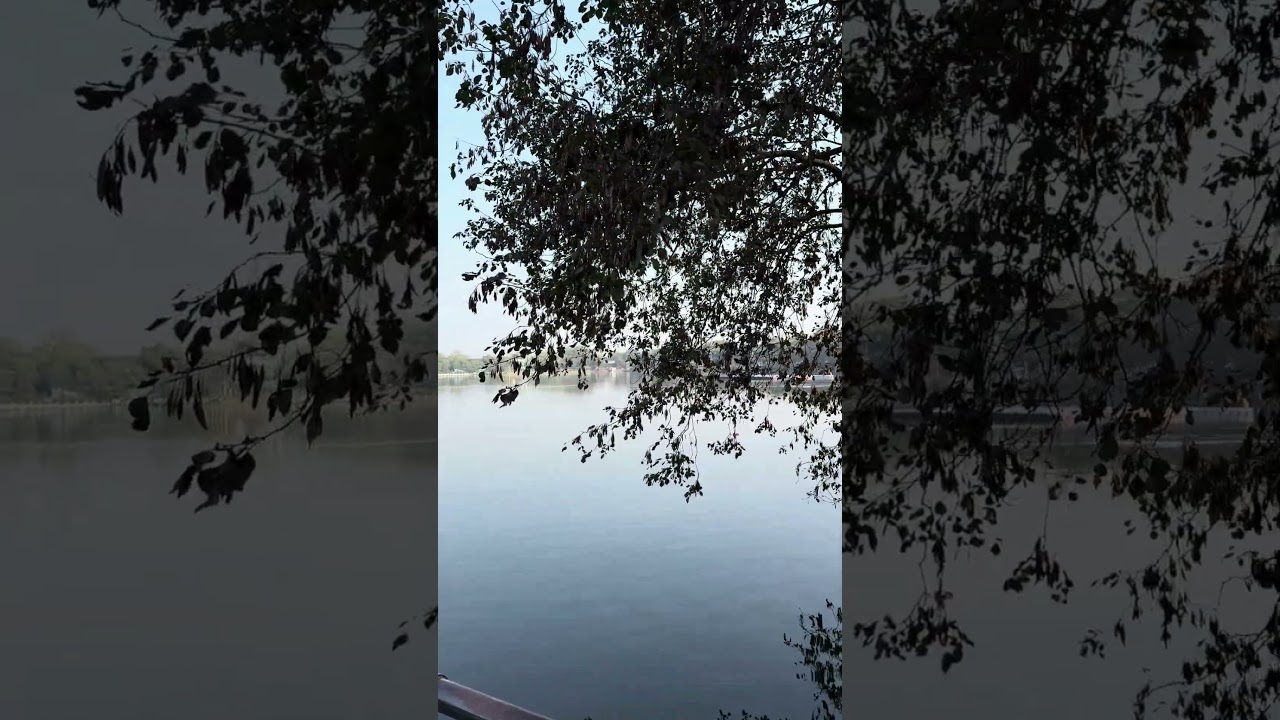 Ye Gajab ka place hai #shorts