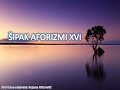 ŠIPAK AFORIZMI XVI