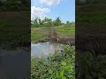 fishing  #fish #fishingvideo #fishinglife #fish