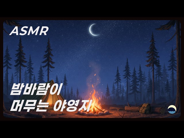 ASMR 밤바람이 머무는 야영지🏕️(Night Breeze Campsite) | 장작 소리, 풀벌레 소리, 밤바람 소리