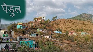 ||इस गांव के लोग पलायन नहीं करते|| पैडुल गांव (Paidul Village)||