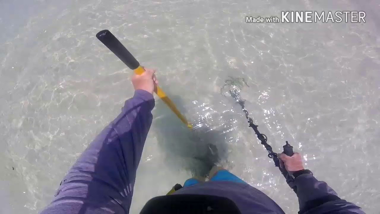 Water hunt Florida 5-11-2018. Two rings 