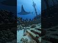 #mera#new #video#machhali per camera lagata hun dekhte hain samundarmein Kaisa view dikhta Hai#viral