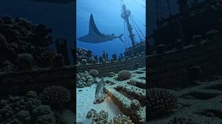 #mera#new #video#machhali per camera lagata hun dekhte hain samundarmein Kaisa view dikhta Hai#viral