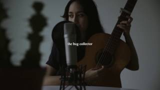 haley heynderickx - the bug collector (tiny desk contest 2017) chords