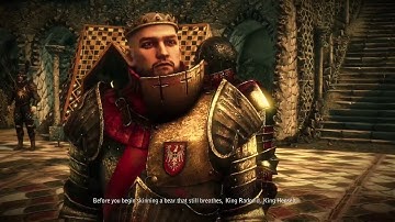 The Witcher 2: A Summit of Mages, Roche