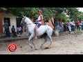 HORSE RACING / CARRERAS DE CABALLOS 🐎 🏁 🐎 Villa Rosa Atl. 31 Jul 2016