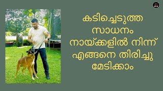 കടിച്ചെടുത്ത സാധനം നായ്ക്കളിൽ നിന്ന് എങ്ങനെ തിരിച്ചു മേടിക്കാം. Saajan Saji Cyriac 9961310970. by Saajan Saji Cyriac 2,418 views 6 months ago 3 minutes, 31 seconds