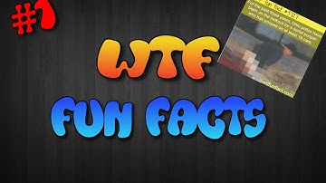 WTF Fun Facts #1