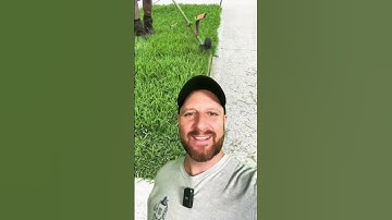 Epic Lawn Edging Pt 26 🤯