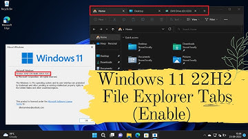 How to Enable Tabs in File Explorer on Windows 11 22H2 (Right now)