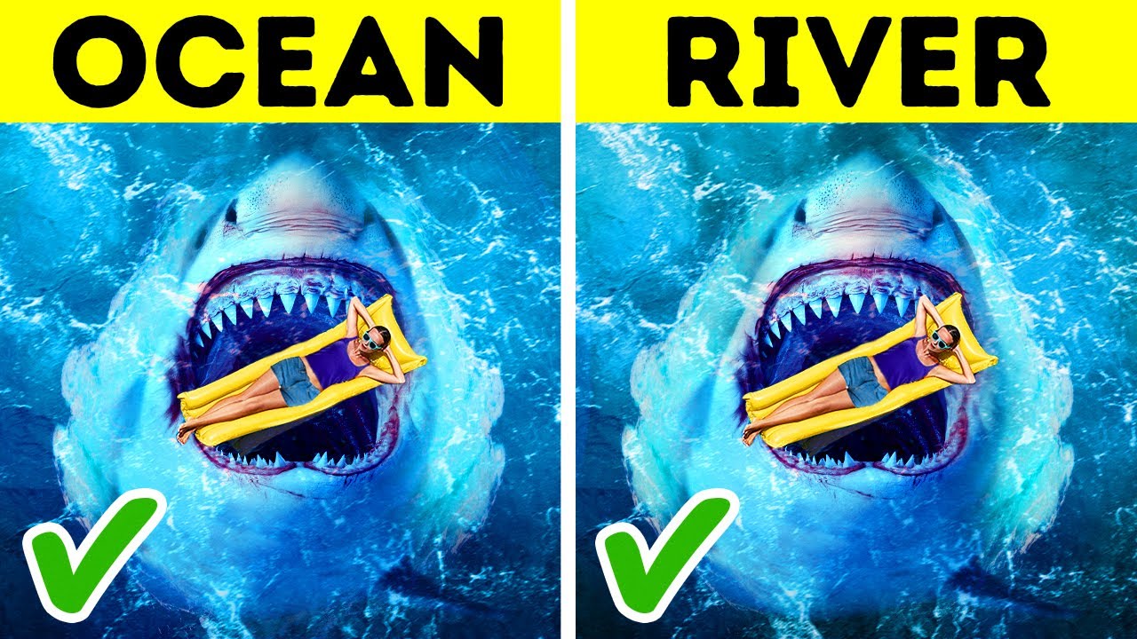 8 Things Sharks Do for You Without You Knowing