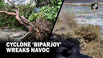 Cyclone ‘Biparjoy’: Uprooted trees, power lines snapped as cyclone wreaks havoc in Gujarat