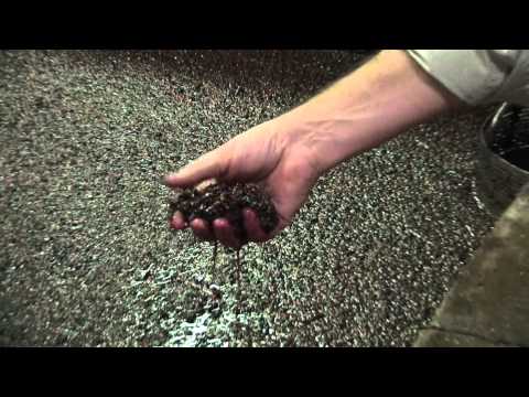 How to make Port wine: Fermentation & Fortification