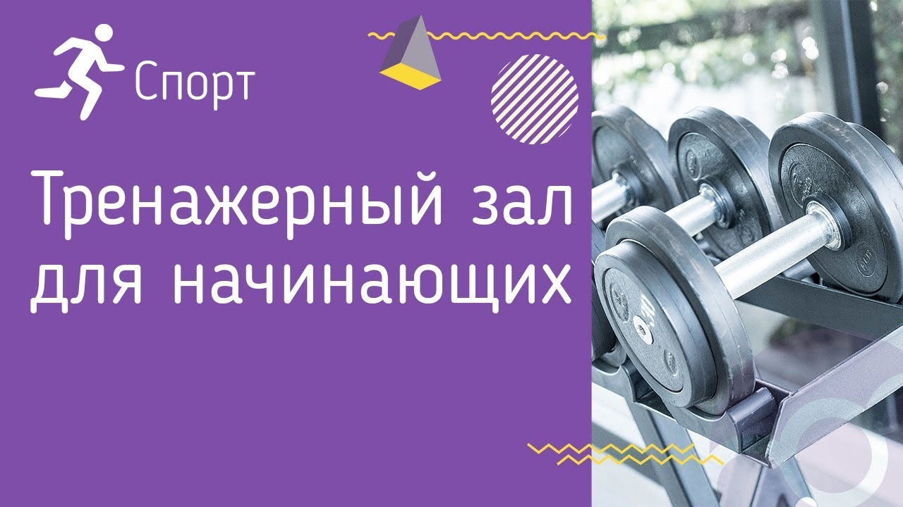 Тренажерный зал для начинающих - советы по началу занятий и полезные рекомендации Тренажерный зал для начинающих: советы по началу занятий и полезные рекомендации