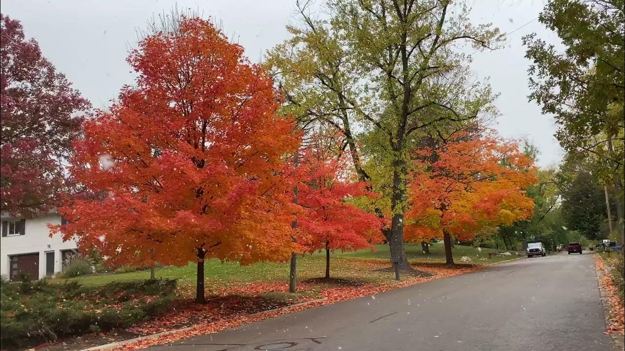 Tribute To Charles Oliano Jordan Snowfall in Autumn Original Chill